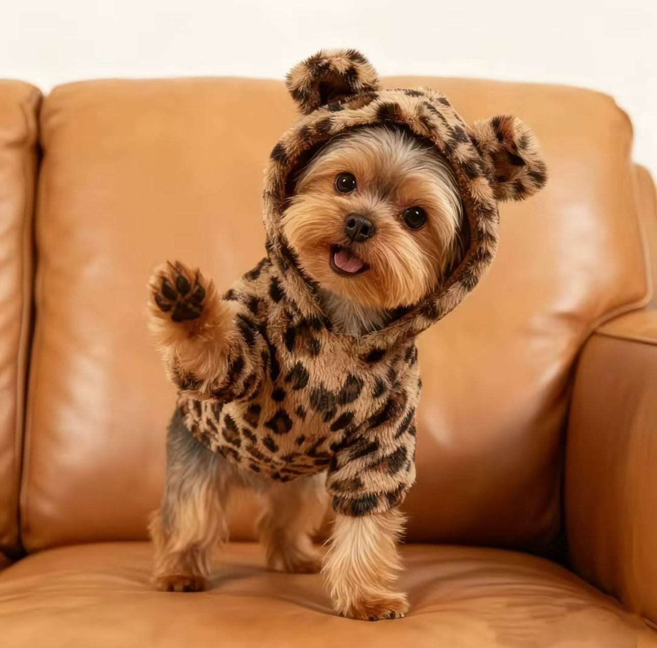 Leopard print Onesie