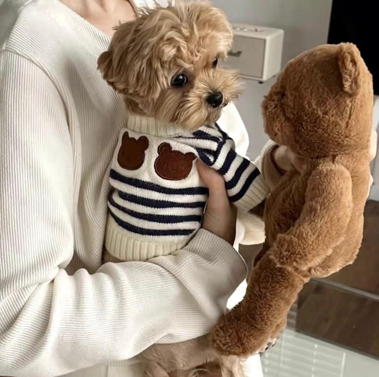 Teddy Stripe Knit Dog Sweater – Cocoa & Cream